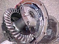 hrnd2000-65.jpg